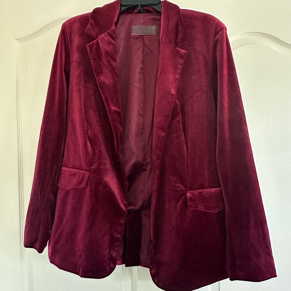 Blank NYC Velvet Blazer in Deep Burgundy